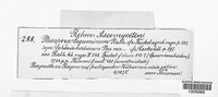 Image Associated With the Occurence